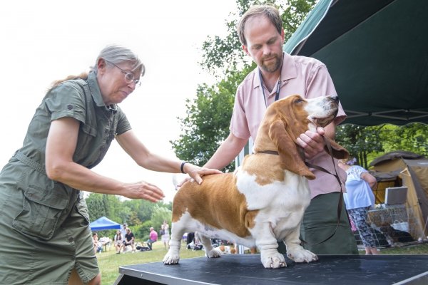 180730 0749 hbm hundeshow