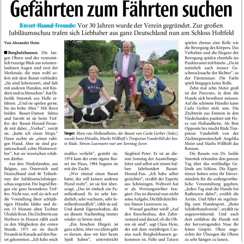 Basset Hounds 2019
