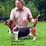 bruce_s_2010