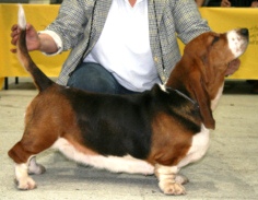 Clubsiegerin 2011