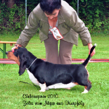 zilia_s_2010
